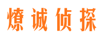 富拉尔基市调查公司